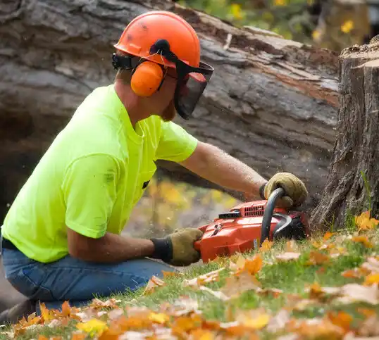 tree services Centerburg